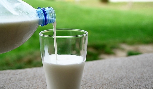 Молоко на завтрак спасет от диабета